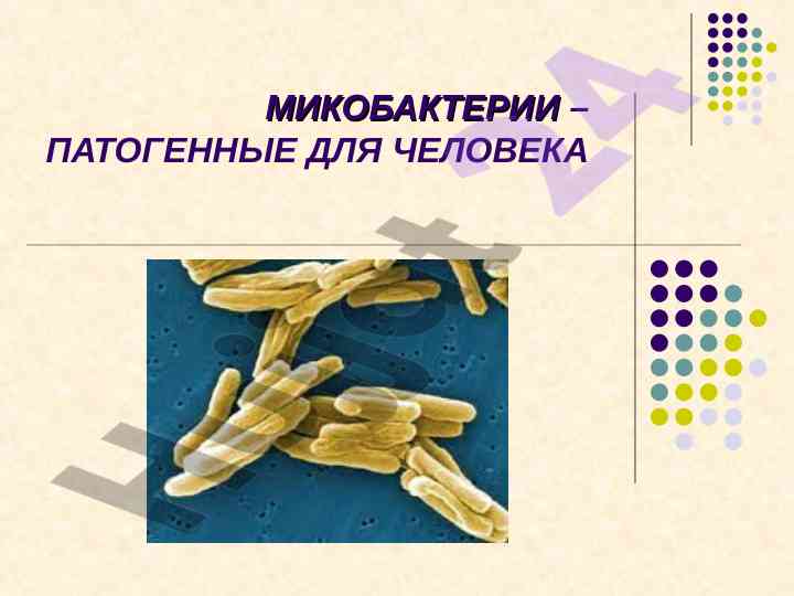 Микобактерии патогенные для человека