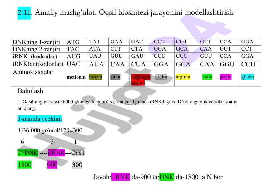Oqsil biosintezi jarayonini modellashtirish
