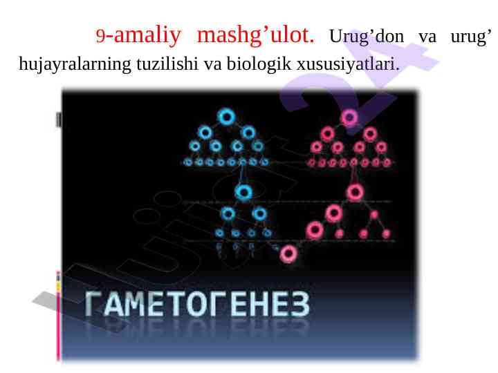 Jinsiy olatni kengaytirishdan foydalangan ayollar?