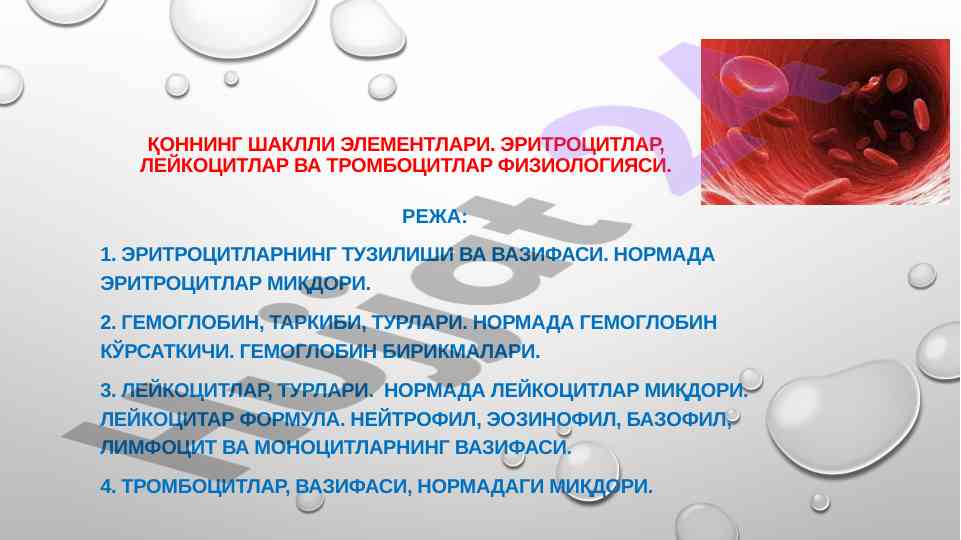 Қоннинг шаклли элементлари ва физиологияси
