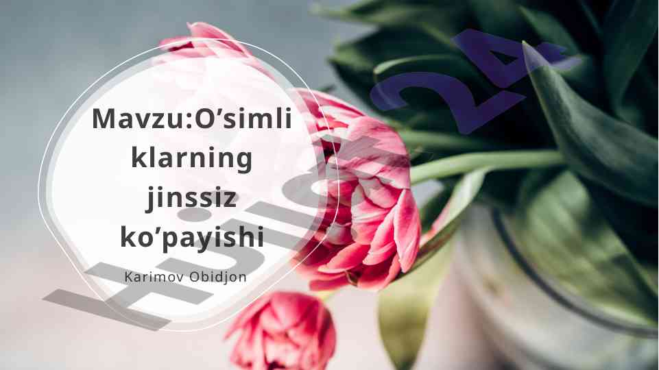O’simliklarning jinssiz ko’payishi tushunchasi