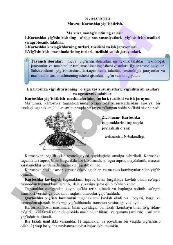 Kartoshka yig’ishtirish bo’yicha ma’ruza