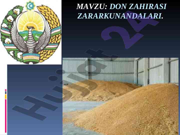 Don zahirasi zararkunandalari tavsifi va o'rganilishi