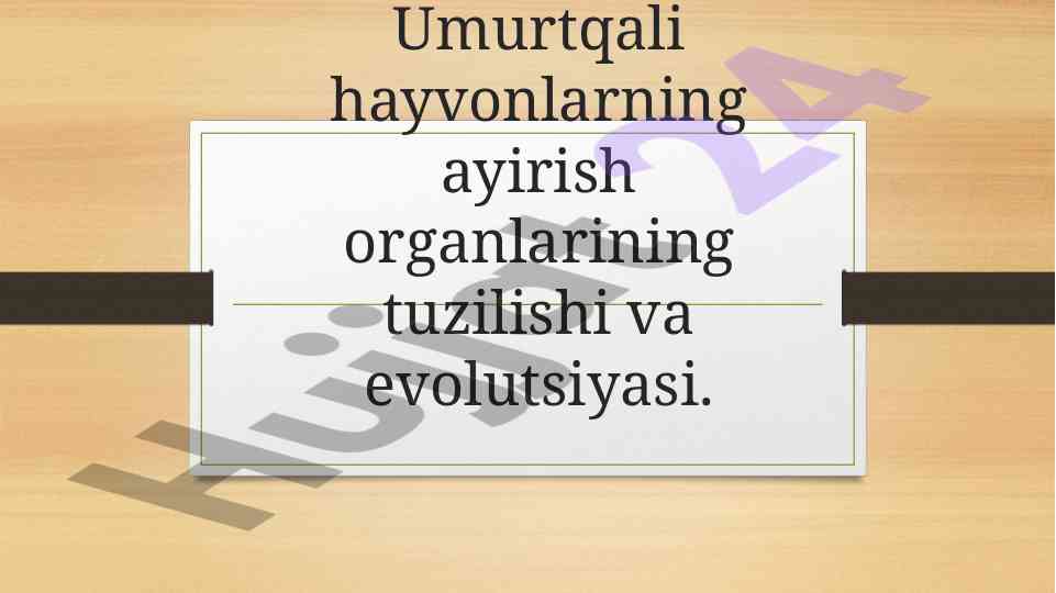 Umurtqali Hayvonlarning Ayirish Organlari