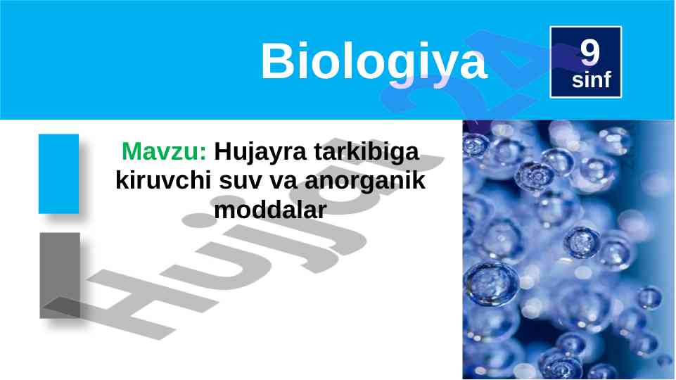 Hujayra tarkibiga kiruvchi suv va anorganik moddalar
