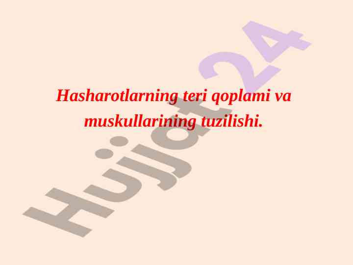 Hasharotlarning teri qoplami va muskullarining tuzilishi