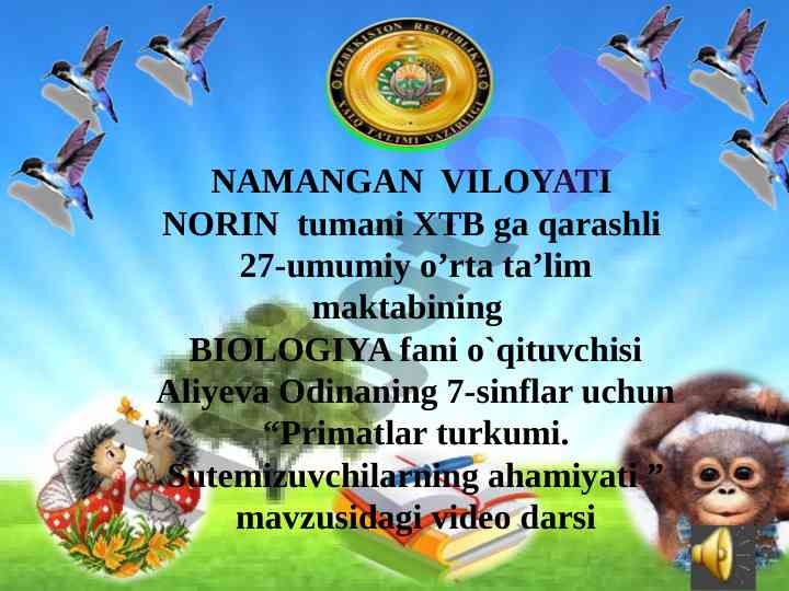 Primatlar turkumi sutemizuvchilarning ahamiyati