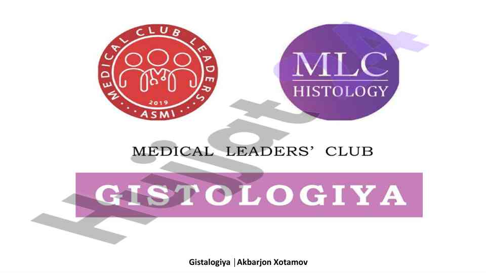 Hazm sistemasi gistalogiyasi asoslari