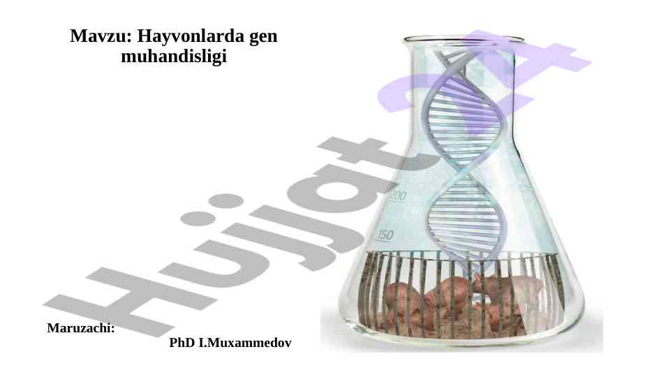Transgen hayvonlarda gen muhandisligi masalalari