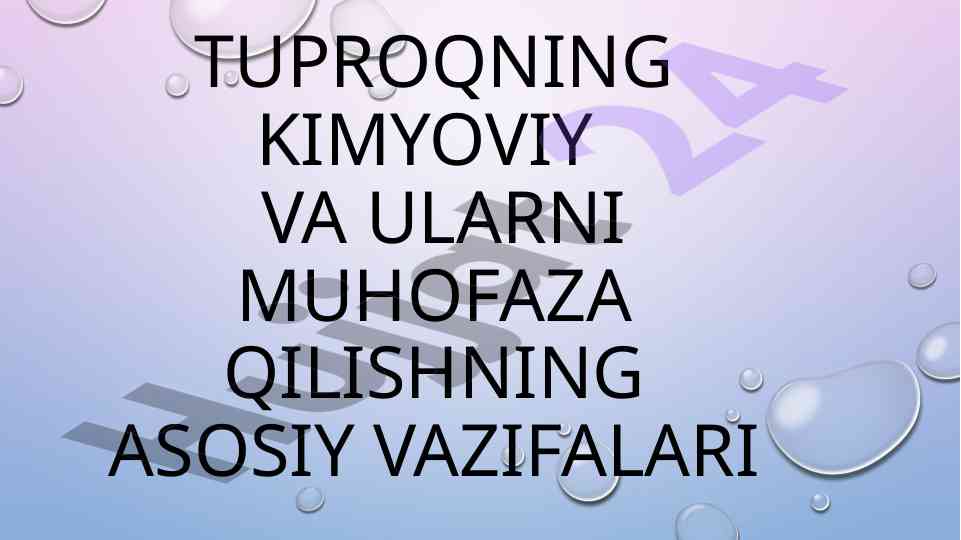 Tuproqning kimyoviy ifloslanishi va ularni muhofaza qilish