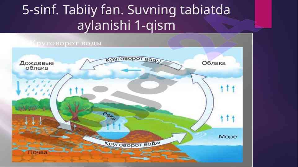 Suvning aylanishi va yomg‘ir paydo bo‘lishi