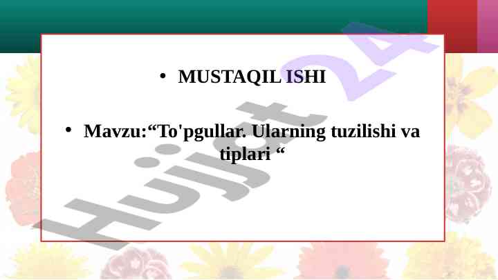 To'pgullar ularning tuzilishi va tiplari