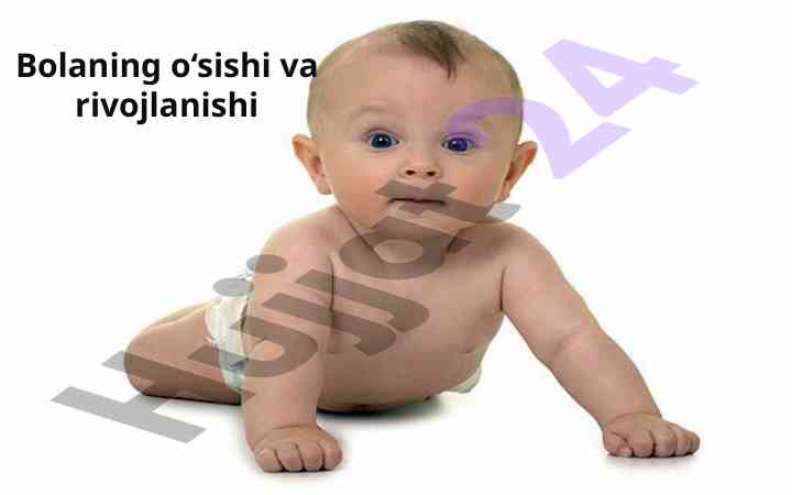 Bolaning o‘sishi va rivojlanishi davrlari