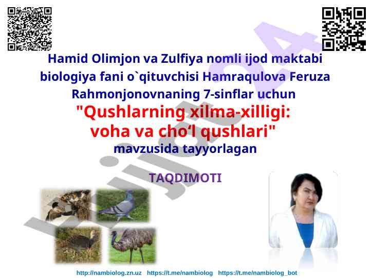 Qushlarning xilma-xilligi voha va cho‘l qushlari