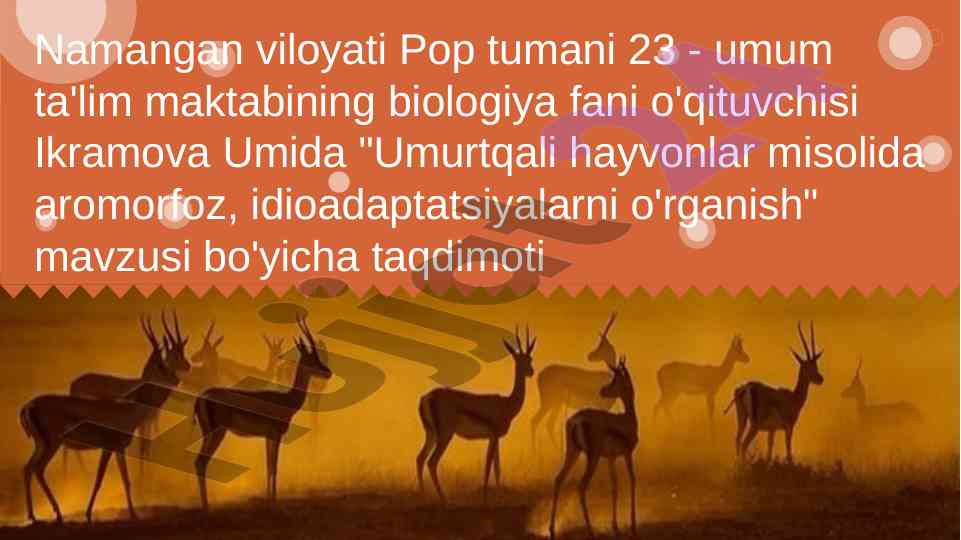 Umurtqali hayvonlar misolida aromorfoz o'rganish
