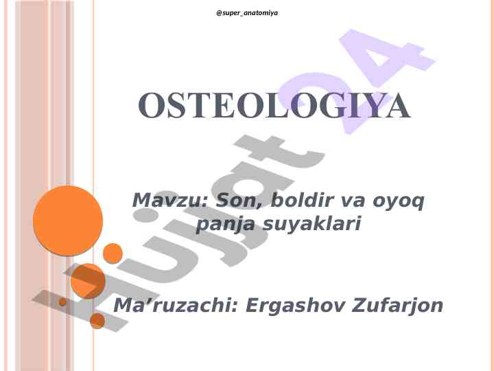 Osteologiya: son, boldir va oyoq panja suyaklari