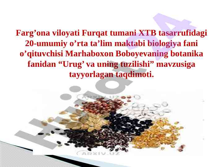 Urug’ va uning tuzilishi mavzusida taqdimot
