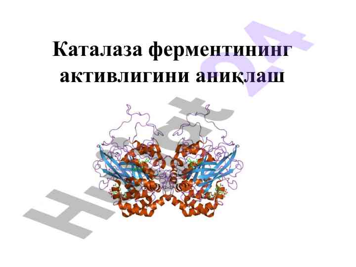 Каталаза ферментининг активлигини аниқлаш мусавири