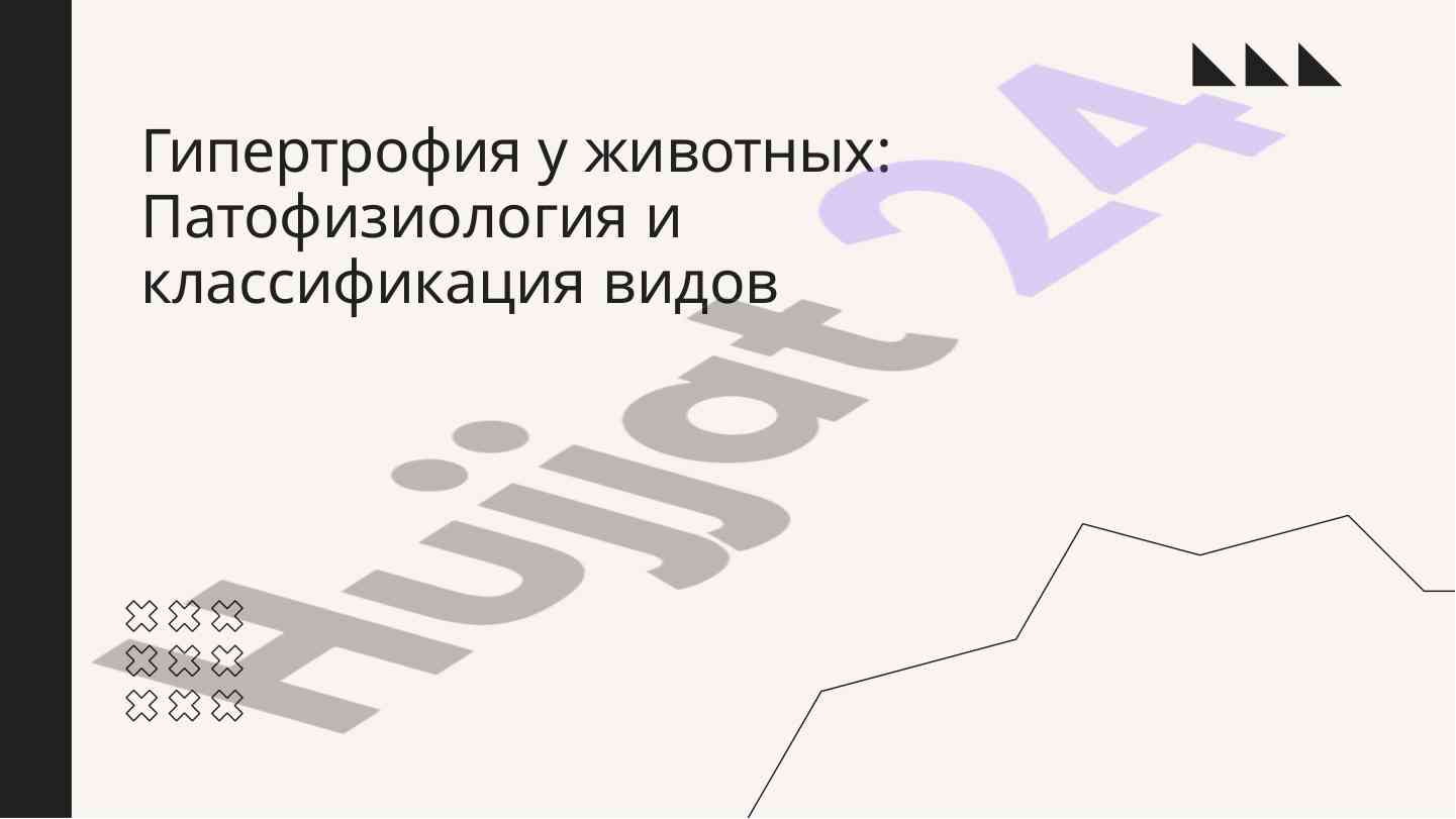 Гипертрофия у животных: патофизиология и классификация