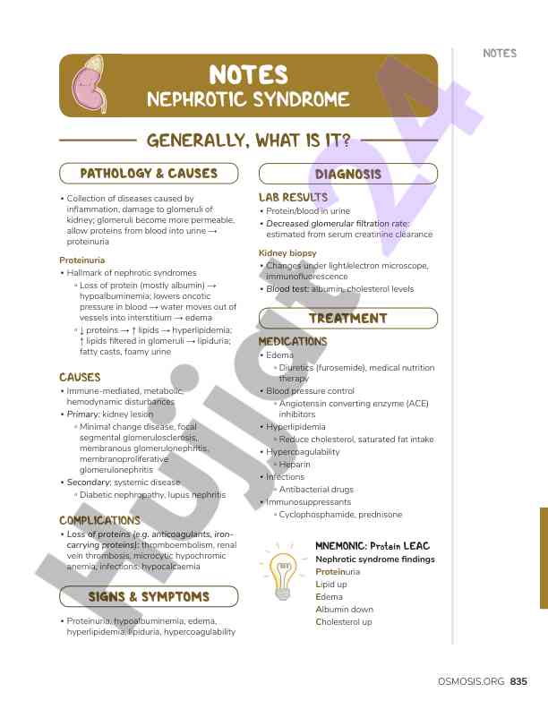 Nephrotic syndrome overview and key pathology