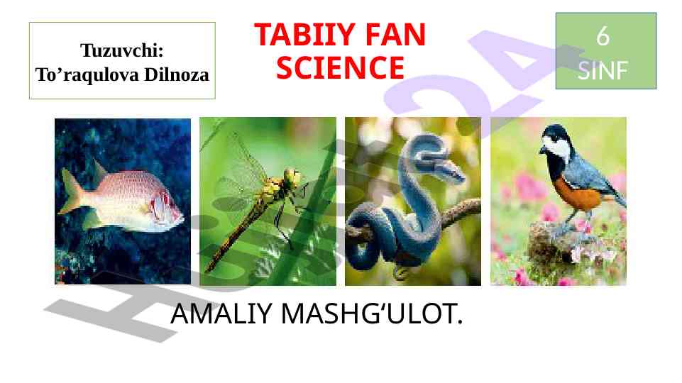 Hayvonlar sistematikasini o‘rganish metodologiyasi