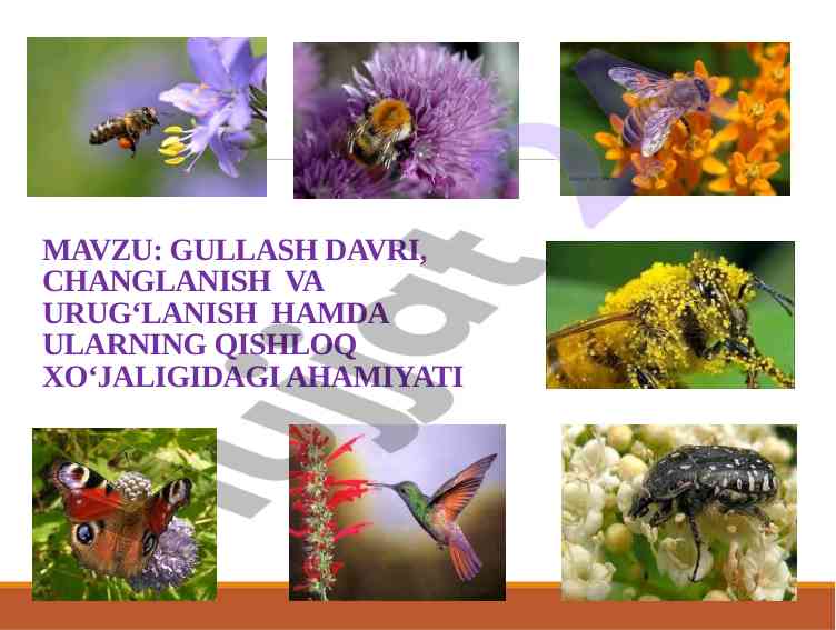 Gullash davri va changlanish ahamiyati