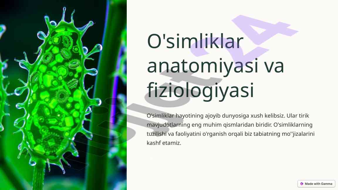 O'simliklar anatomiyasi va fiziologiyasi qoidalari