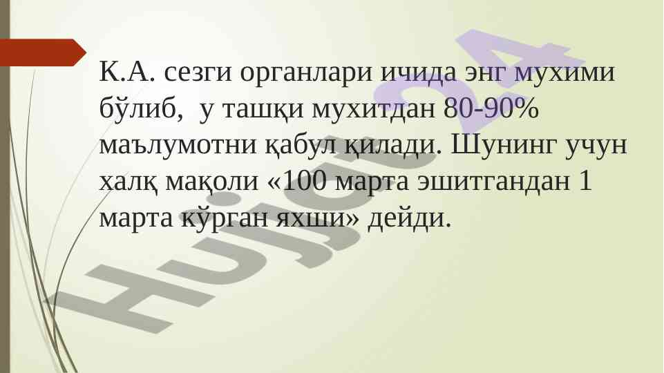 К.а. сезги органлари ва уларнинг муҳими