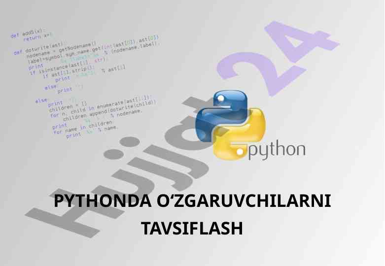 Python o'zgaruvchilarni tavsiflash usullari