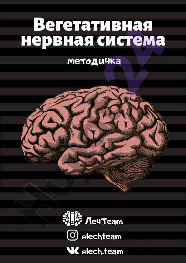 Вегетативная нервная система методичка