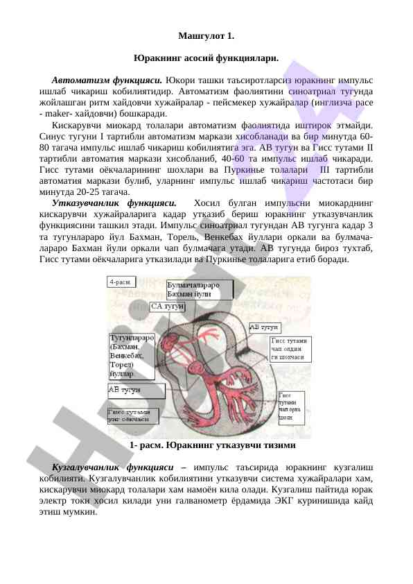 Yuqaridagi tashqi ta'sirlar va yurak funktsiyalari