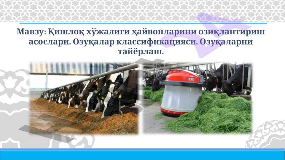 Qishloq xo‘jaligi hayvonlarini oziqlantirish asoslari