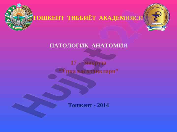 Ўпка касалликлари патологияси тўғрисида маълумот