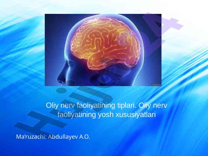 Oliy nerv faoliyatining tiplari va yosh xususiyatlari