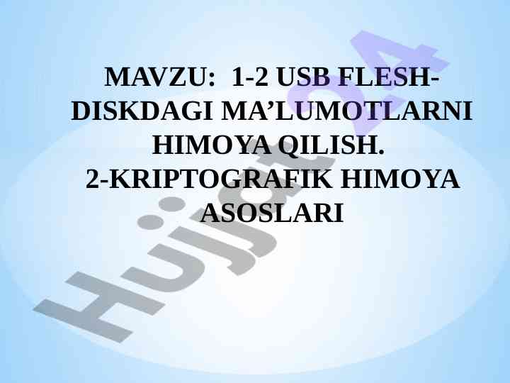 Usb flesh-diskdagi ma'lumotlarni himooya qilish usullari