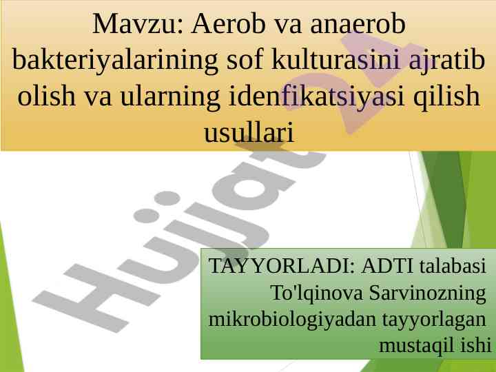 Aerob va anaerob bakteriyalarining sof kulturasini ajratib olish