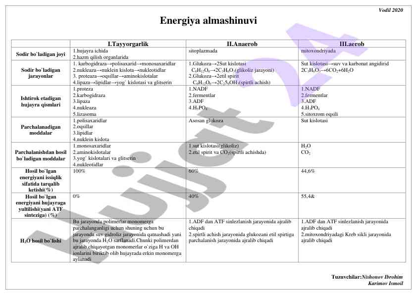 Energiya almashinuvi jarayonlari hujayra ichida