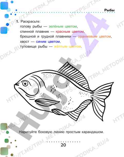 Рисование рыб: урок для начинающих