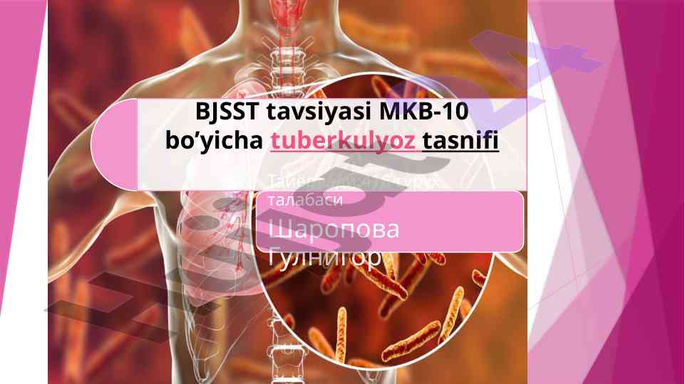 O’pkadagi tuberkulyozning klinik ko’rinishlari