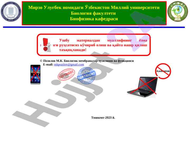 Office mavzulari bo‘yicha o‘quv qo‘llanmasi