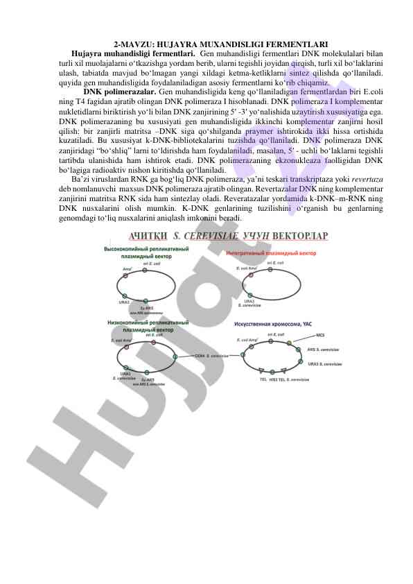 Hujayra muhandisligi fermentlari haqida ma'lumot