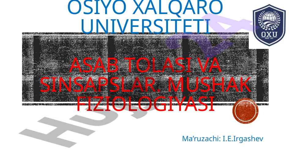 Asab tolasi va sinsapslar fiziologiyasi