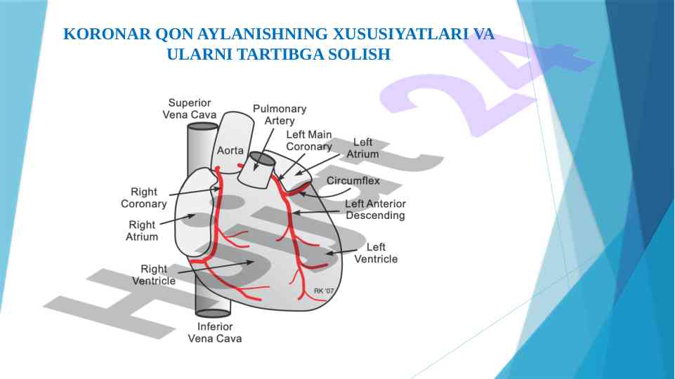 Koronar qon aylanish xususiyatlari va tartibga solish
