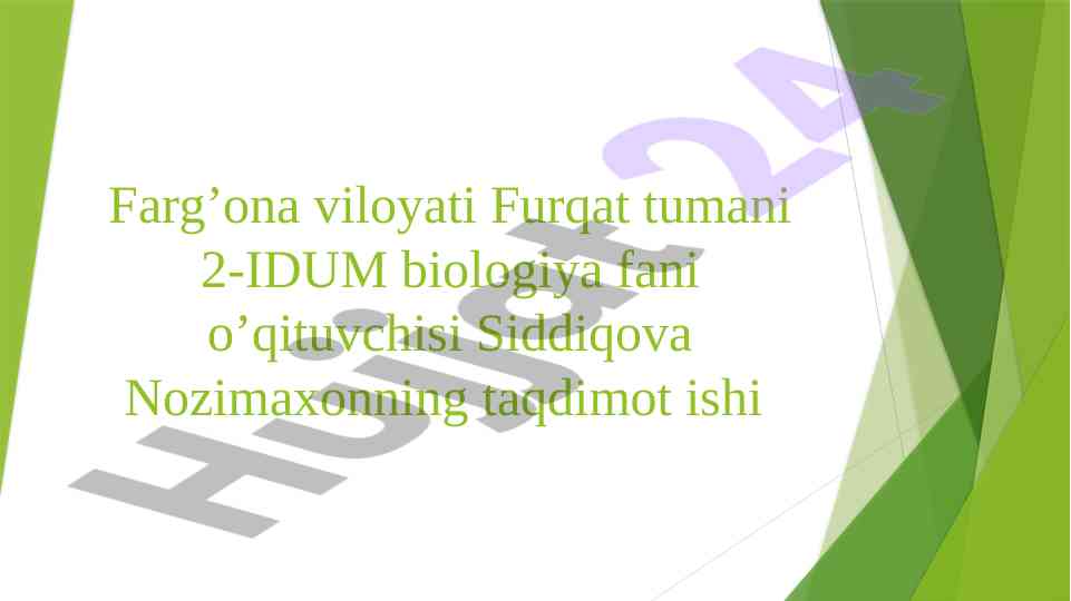 Ekologik piramida va biomassa energiya