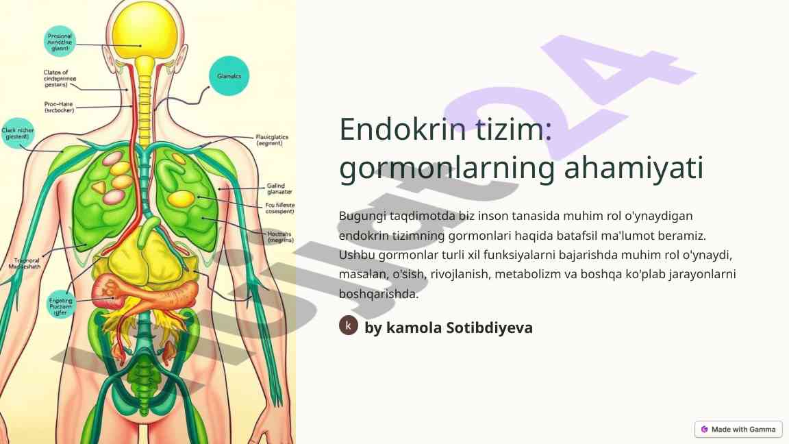 Endokrin tizim va gormonlar ahamiyati