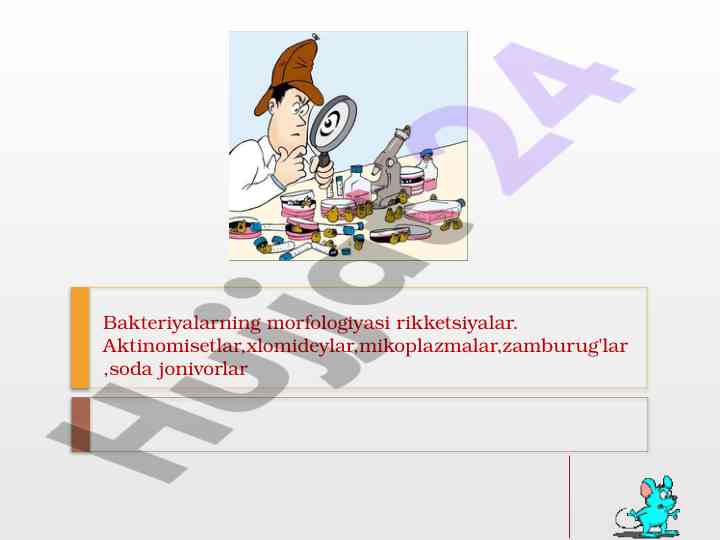 Bakteriyalarning morfologiyasi va spiroketalar