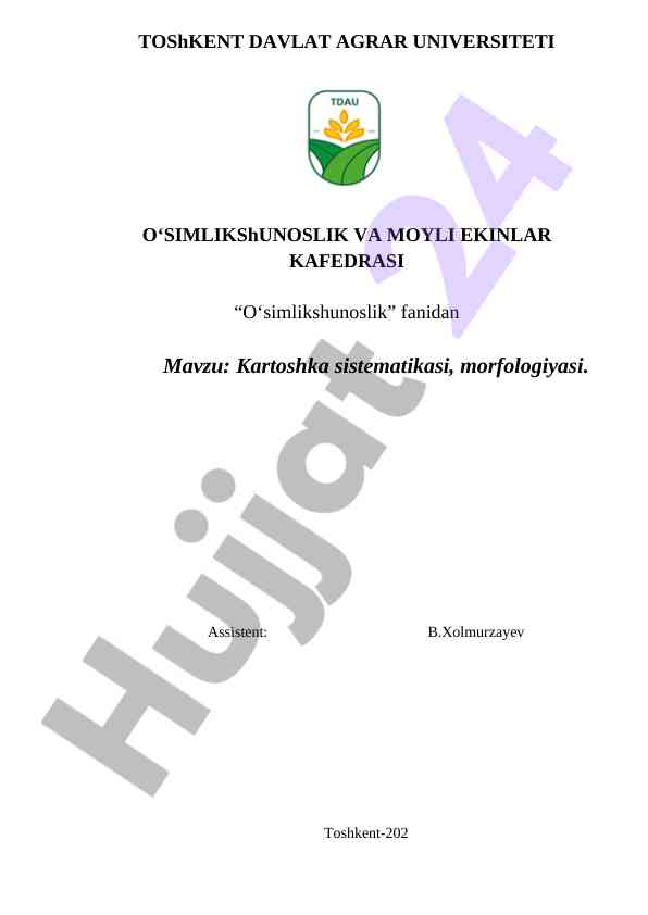 Kartoshka sistematikasi va morfologiyasi