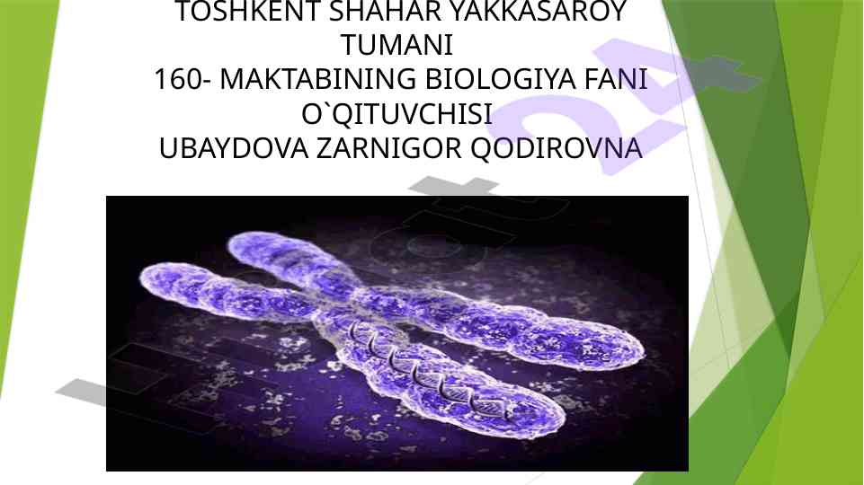 Blits so'rov: genlarning o'tishi haqida