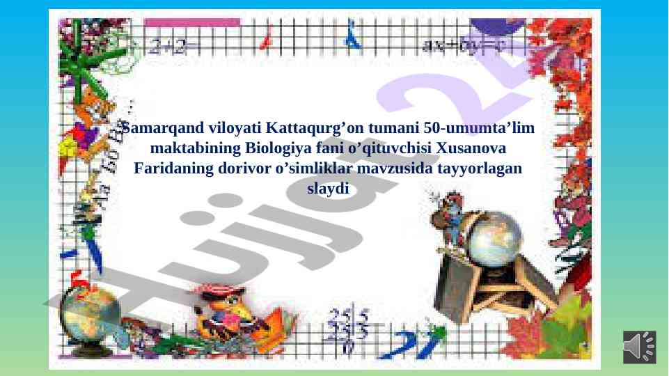 Dorivor o’simliklar haqida ma’lumot