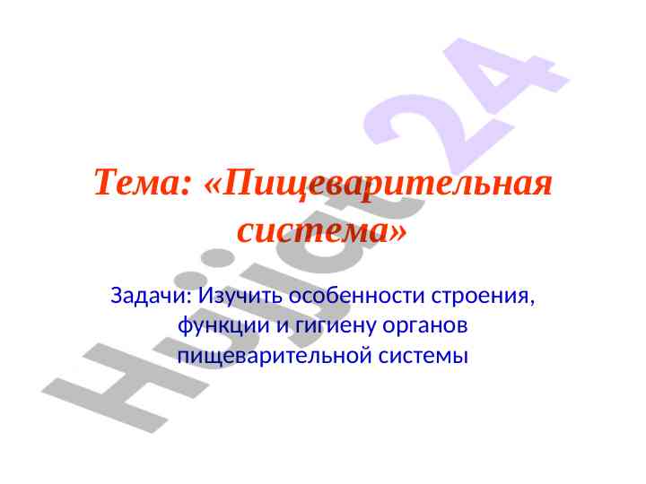 Пищеварительная система и ее функции